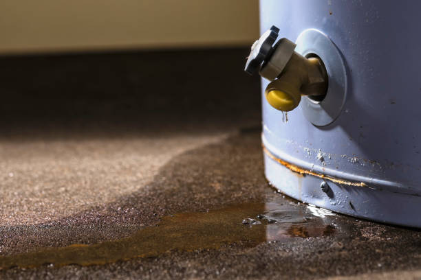 Best Water damage cleanup near me  in Miami, FL