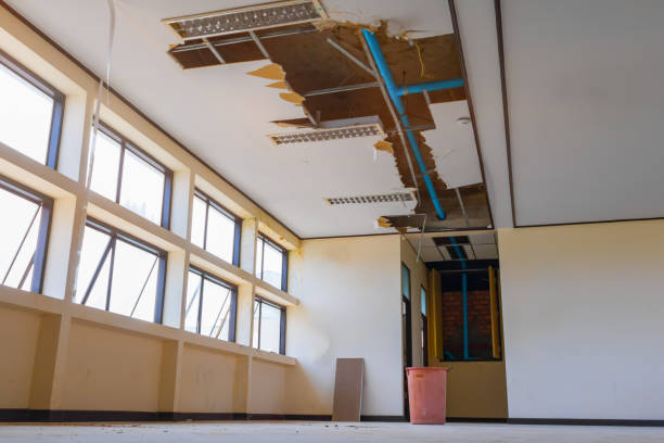 Best Sewage cleanup and water damage restoration  in Miami, FL