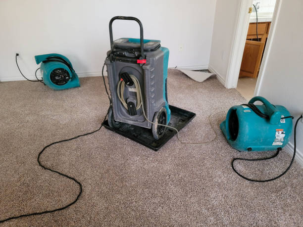Best 24-hour water damage restoration  in Miami, FL