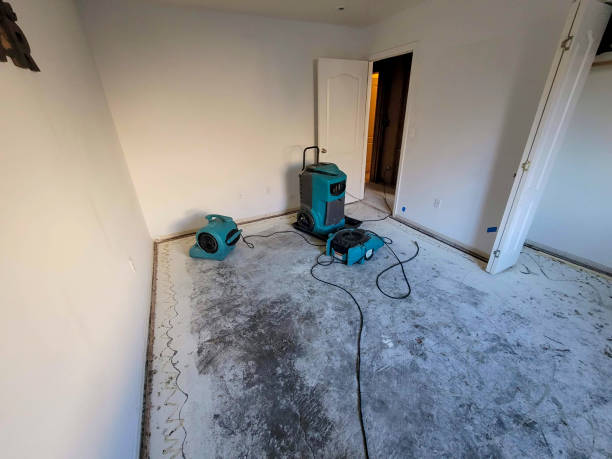 Best Fire Damage Restoration  in Miami, FL