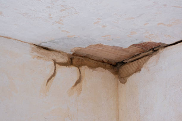 Best Mold removal after water damage  in Miami, FL