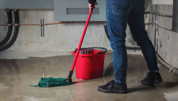 Best Mold removal after water damage  in Miami, FL