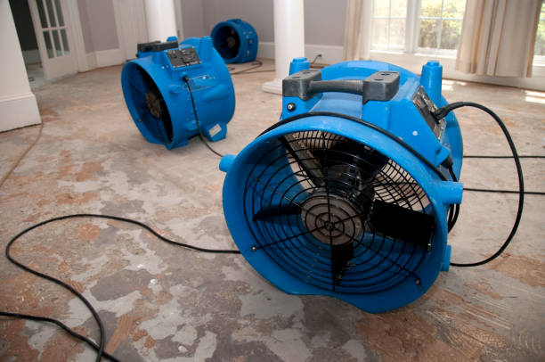 Best Carpet water damage restoration  in Miami, FL