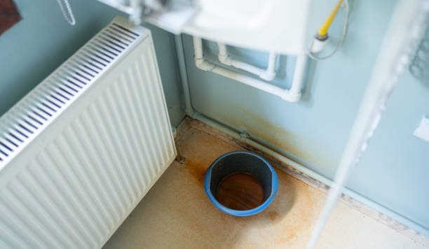 Best Ceiling water damage repair  in Miami, FL