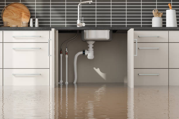 Best Water damage restoration near me  in Miami, FL