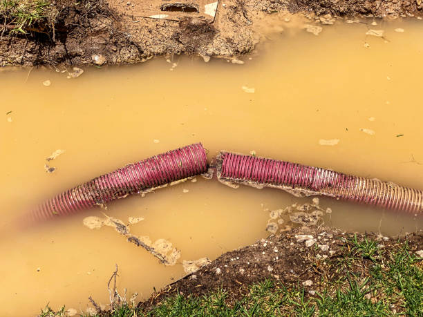 Professional Water damage restoration in FL