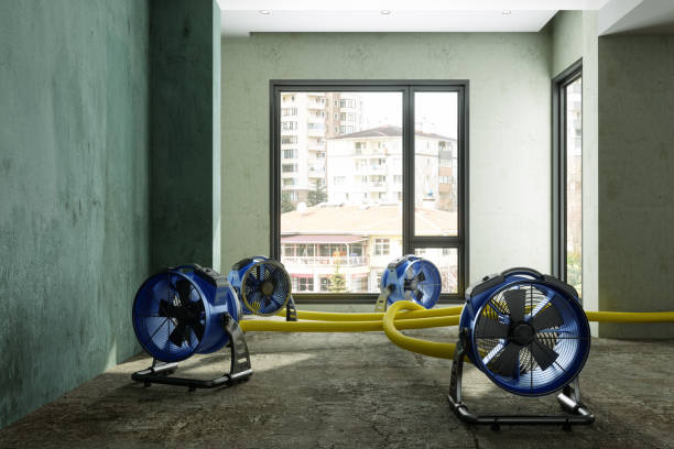 Best Residential water damage restoration  in Miami, FL